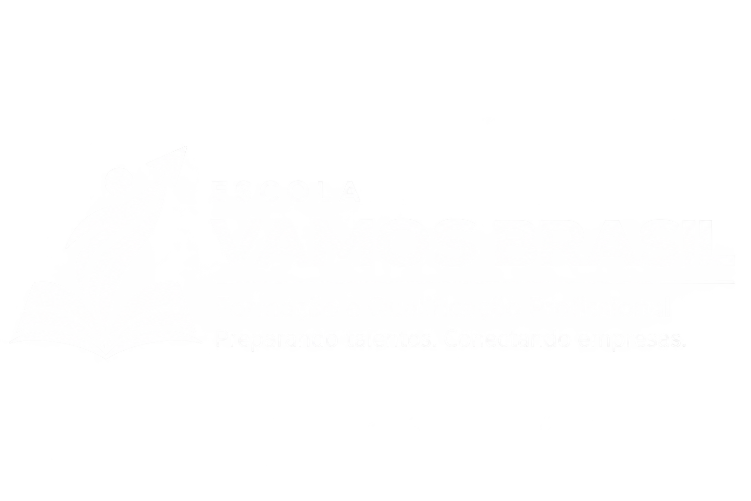 Escola Vamos Brasil
